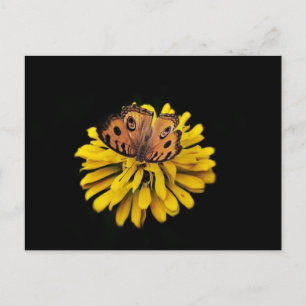 Botervlieg en gele bloem briefkaart