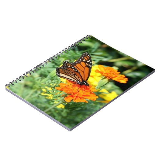 Botervlieg en hoestbloem notitieboek (Linkerzijde)