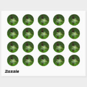 Botervlieg en kikker ronde sticker (Vel)
