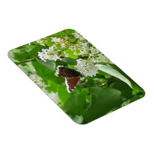 Botervlieg en Lila lente magneet (Rechterzijde)