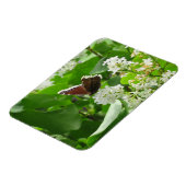 Botervlieg en Lila lente magneet (Linkerzijde)