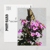 Botervlieg- en ochtendgloren briefkaart (Voorkant / Achterkant)