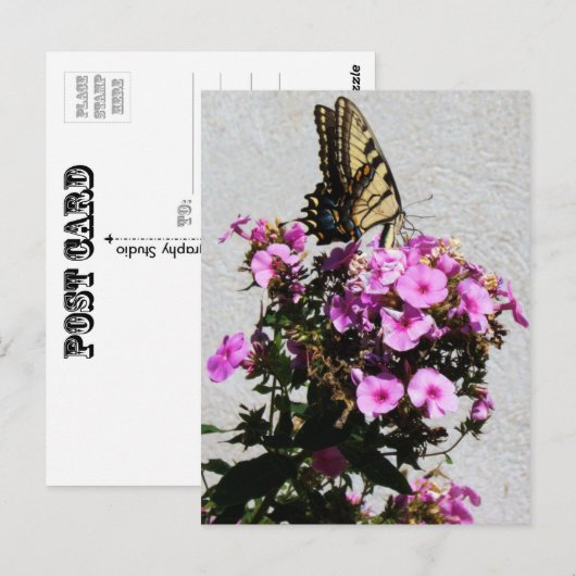 Botervlieg- en ochtendgloren briefkaart (Voorkant / Achterkant)