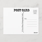 Botervlieg- en ochtendgloren briefkaart (Achterkant)