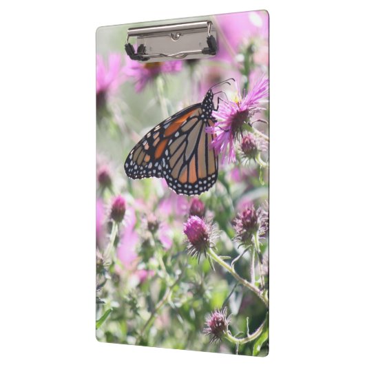 Botervlieg en Paarse weidebloemen Klembord (Links)