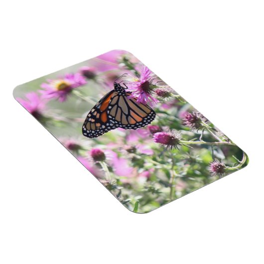 Botervlieg en Paarse weidebloemen Magneet (Rechterzijde)