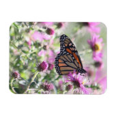 Botervlieg en Paarse weidebloemen Magneet (Horizontaal)