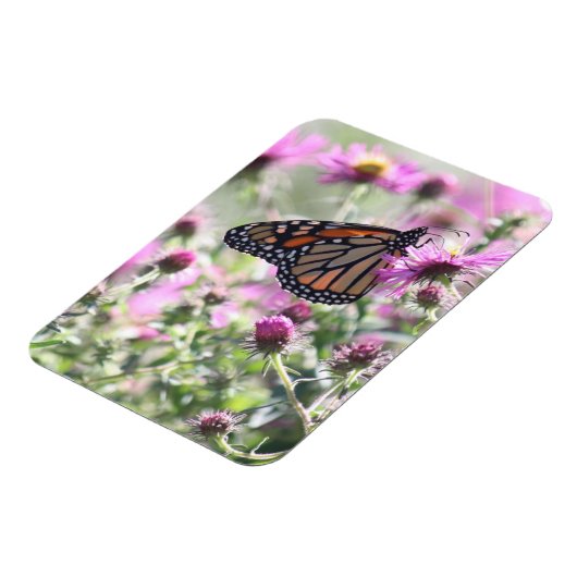 Botervlieg en Paarse weidebloemen Magneet (Linkerzijde)