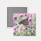 Botervlieg en Paarse weidebloemen Magneet (Voorkant / Achterkant)