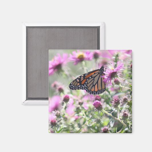 Botervlieg en Paarse weidebloemen Magneet (Voorkant / Achterkant)