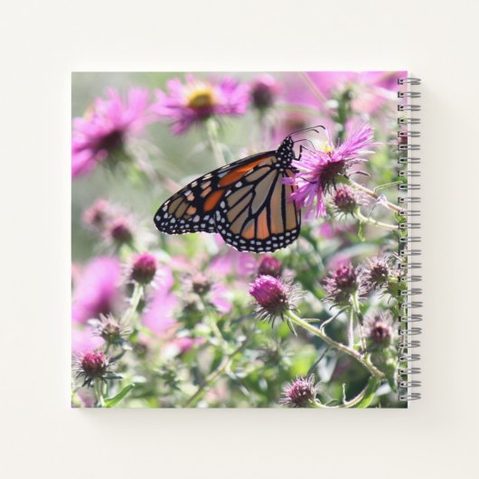 Botervlieg en Paarse weidebloemen Notitieboek (Achterkant)