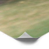 Botervlieg en Roos van Sharon Poster / Afdruk (Hoek)