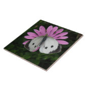 Botervlieg en roze vlakke band tegeltje (Zijkant)