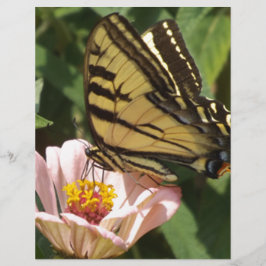 Botervlieg en ventilator