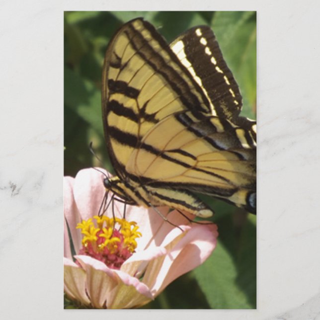 Botervlieg en ventilator (Voorkant)