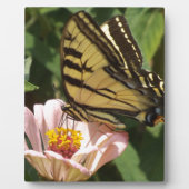 Botervlieg en ventilator fotoplaat (Voorkant)