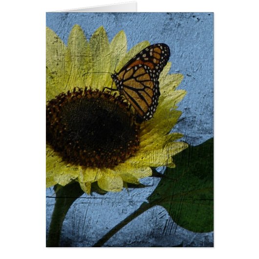 Botervlieg en zonnebloem (Voorkant)