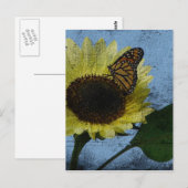 Botervlieg en zonnebloem briefkaart (Voorkant / Achterkant)