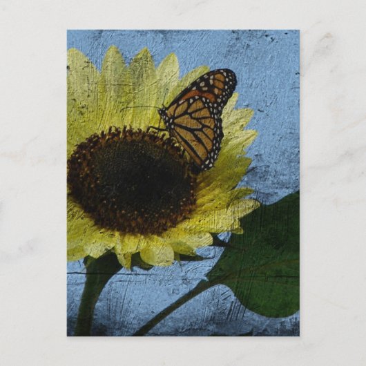Botervlieg en zonnebloem briefkaart (Voorkant)