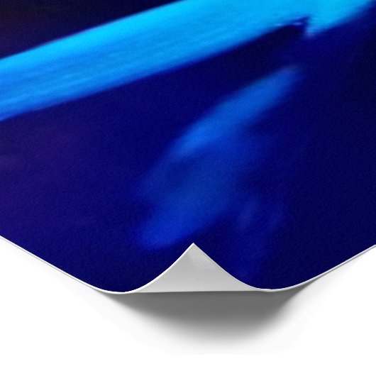 Botervlieg in blauw Poster (Hoek)