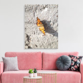 Botervlieg in de zon canvas afdruk (Insitu (Woonkamer))
