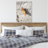 Botervlieg in de zon canvas afdruk (Insitu (Slaapkamer))