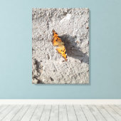Botervlieg in de zon canvas afdruk (Insitu (Houten vloer))
