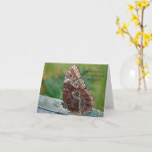 Botervlieg met offerte kaart (Gele Bloem)