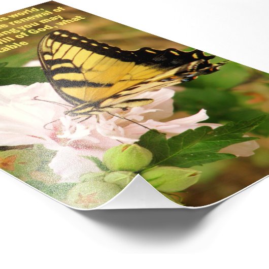 Botervlieg met Romans 12:2 Foto Afdruk (Hoek)