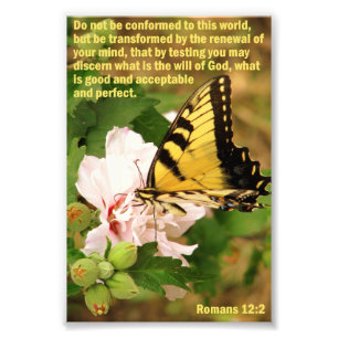 Botervlieg met Romans 12:2 Foto Afdruk