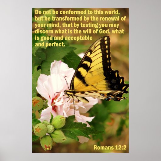Botervlieg met Romans 12:2 Poster (Voorkant)