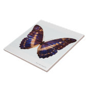 Botervlieg met vleugels, verspreid over 3 tegeltje (Zijkant)