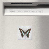 Botervlieg op achtergrond van behangpapier magneet (Insitu (Vaatwasser))