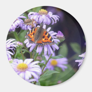 Botervlieg op bloemen magneet