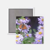 Botervlieg op bloemen magneet (Voorkant / Achterkant)