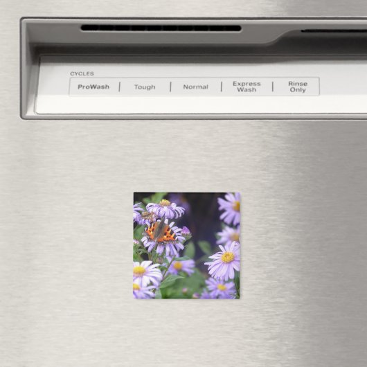 Botervlieg op bloemen magneet (Insitu (Vaatwasser))