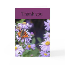 Botervlieg op bloemen op drift via Kaart