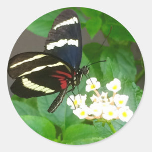 Botervlieg op bloemen ronde sticker