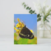 Botervlieg op de Gele Bloem Briefkaart (Staand voorkant)
