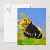 Botervlieg op de Gele Bloem Briefkaart (Voorkant / Achterkant)