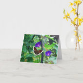 Botervlieg op de gouden bloemen van de Morning Kaart (Gele Bloem)