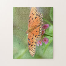 Botervlieg op een bloem in een lokaal park