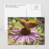 Botervlieg op een Paarse concefloer Briefkaart (Voorkant / Achterkant)