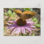 Botervlieg op een Paarse concefloer Briefkaart (Voorkant)