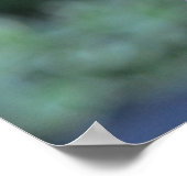 Botervlieg op een Paarse concefloer Poster (Hoek)