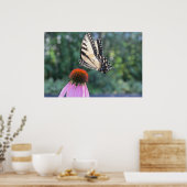 Botervlieg op een Paarse concefloer Poster (Keuken)