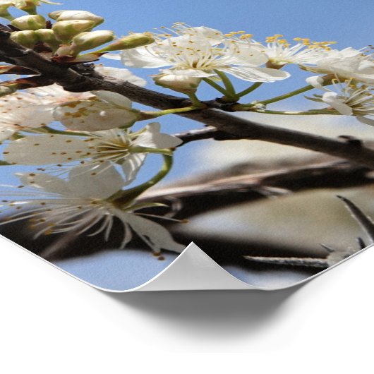 Botervlieg op Floral met vers over hoop en geloof Poster (Hoek)