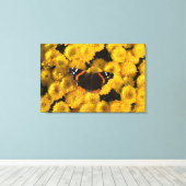 Botervlieg op gele asters canvas afdruk (Insitu (Houten vloer))