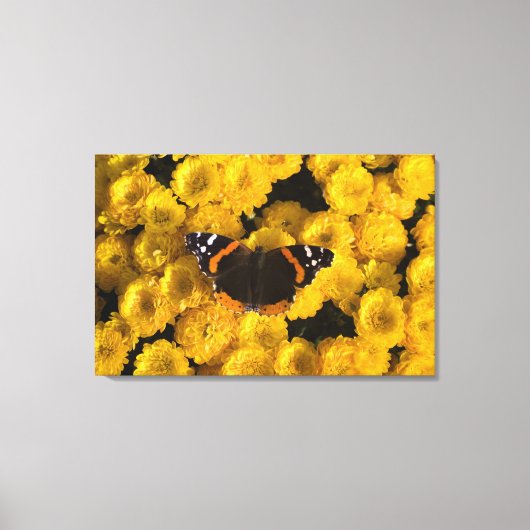 Botervlieg op gele asters canvas afdruk (Voorkant)