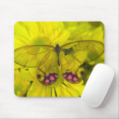 Botervlieg op Gele Bloemen Muismat (Met muis)